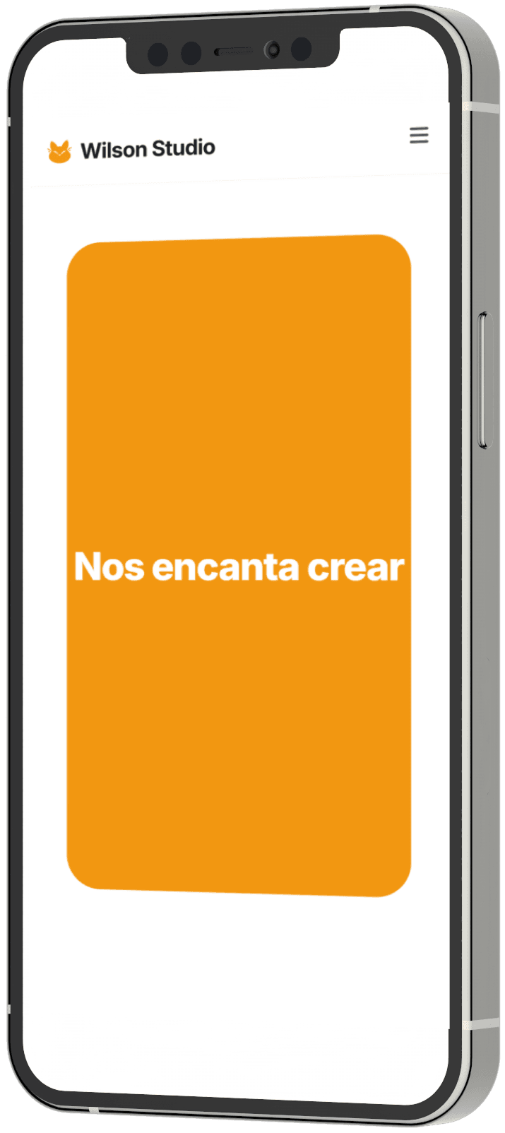 Wilson Studio project screenshot 2 showing product design work
